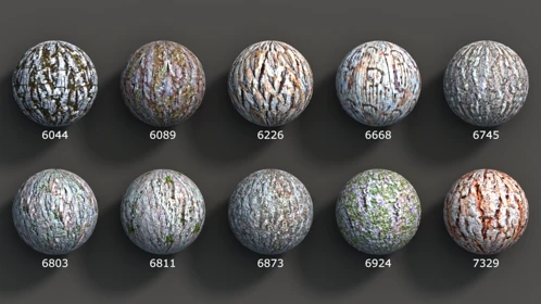 tree, pbr, textures, bark, trunks